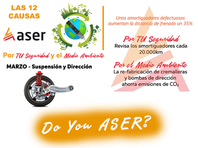 12 causas ASER suspensión y dirección