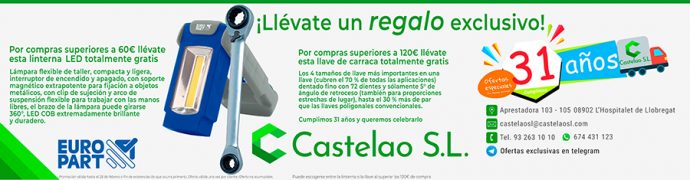 31 Aniversario de Castelao