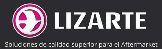 banner lizarte