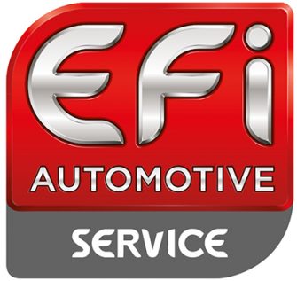 efi automotive service