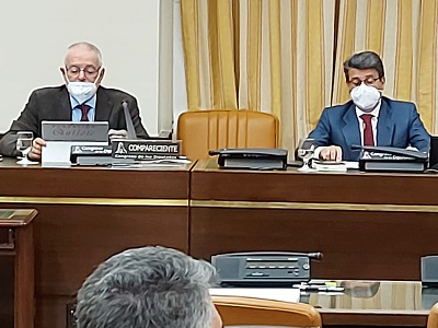 Fenadismer plantea problemática de carga y descarga del transporte por carretera en Congreso de Diputados