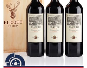 Comprar frenos Galfer en Grovisa tiene premio